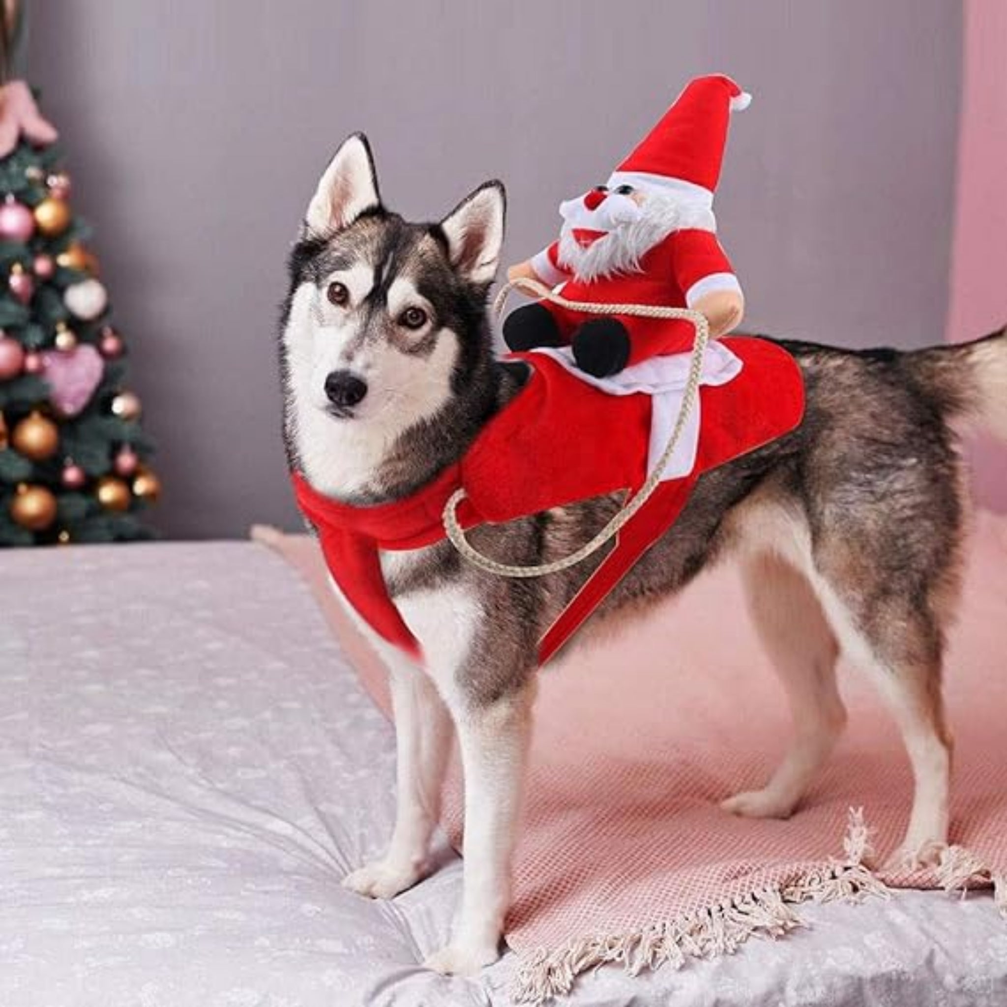 Traje Navideño Para Perro - Talla M